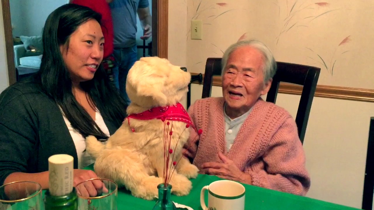 Grandma Meets JOY FOR ALL Golden Pup for the First Time