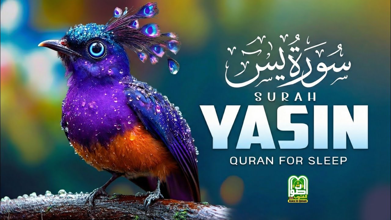 Surah Yasin (Yaseen) | Beautiful Recitation with English Translation | Heart Soothing Full