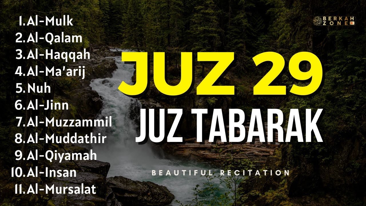 Murottal Merdu Juz 29 | Alaa Aqel علاء عقل