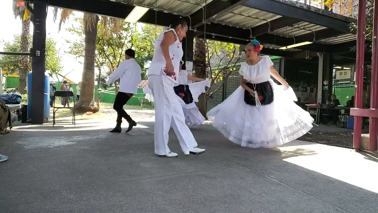 Presentación PILARES Reforma política. El Palomo y La Paloma y La Bamba. 