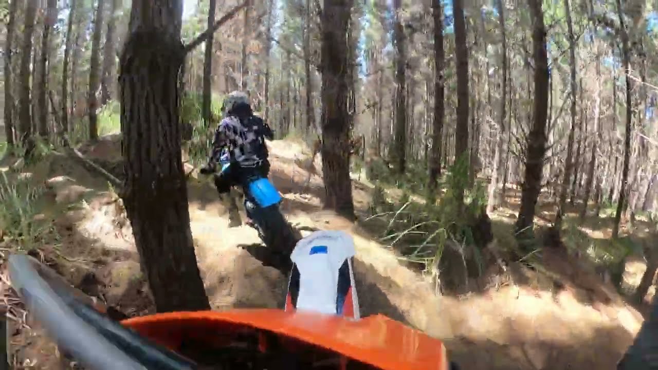 KTM Freeride FR 250F following Yamaha IT250.  Woodhill sand forest bike park, Auckland, NZ.
