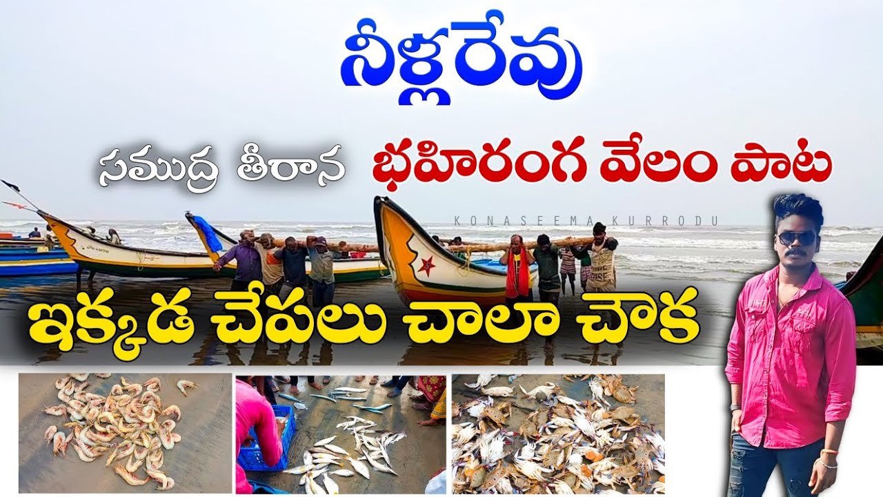 నీళ్లరేవు గ్రామం ఇక్కడ చేపలు చాలా చవక 🦈 nillarevu village #travel #fishing#travel#vlog #fish#fishing