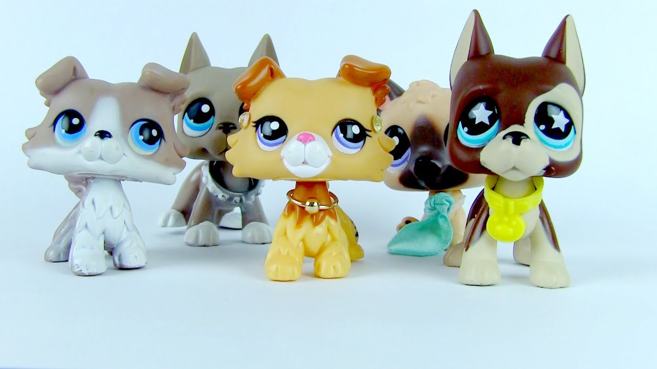 LPS: MV 