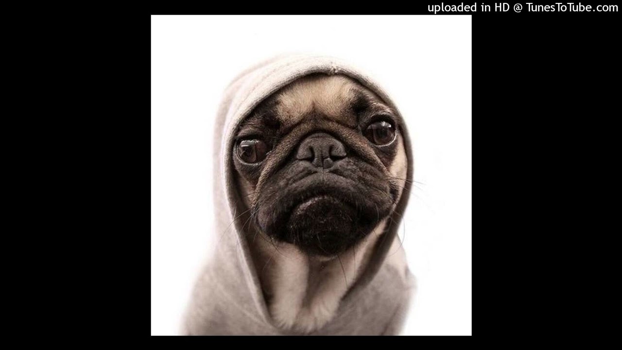 free phreshboyswag + 444jet type beat / prod wi3arrd! n ogida140