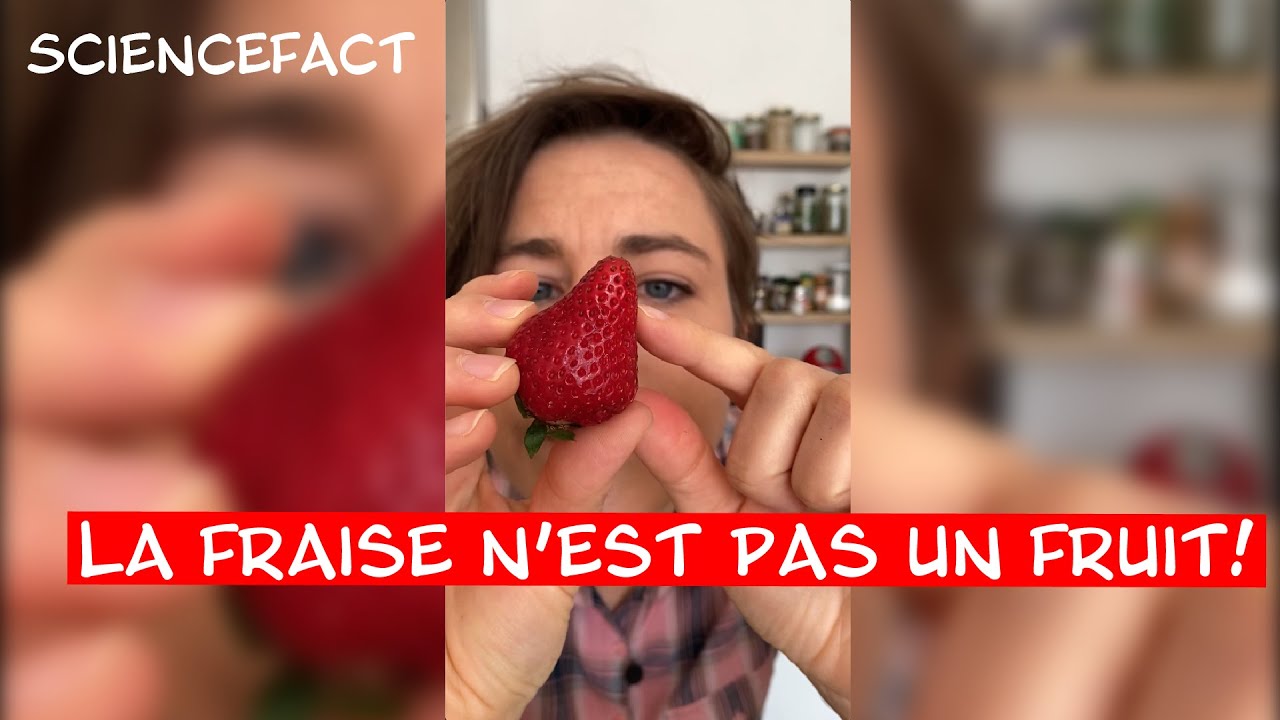 La fraise n'est pas un fruit