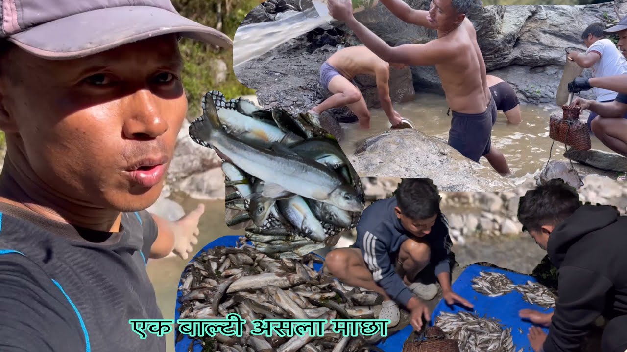 Eutai duwalo ma 1 balti Asala maxa, Duwalo sukaune amazing idea😱😱