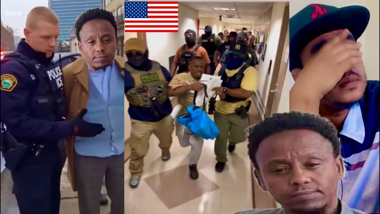 DEG DEG ASKARTA ICE OO MAXAMED DAA'UUD OO WEERARAY LIVE TIKTOK ASAGOO KU JIRAWAA TARXIILEYNAA