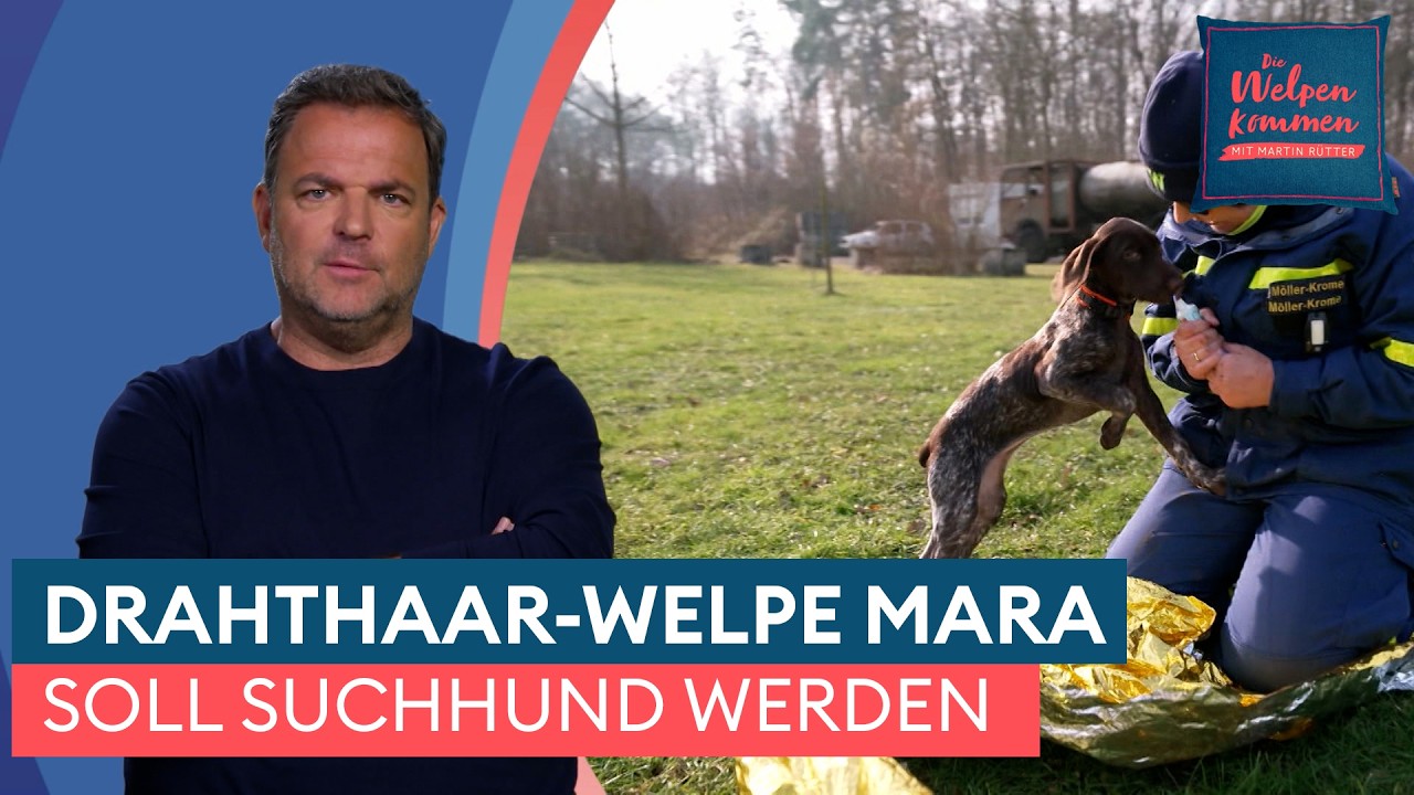Maras ERSTER TAG auf dem Trainingsplatz 🦴 | Die Welpen kommen