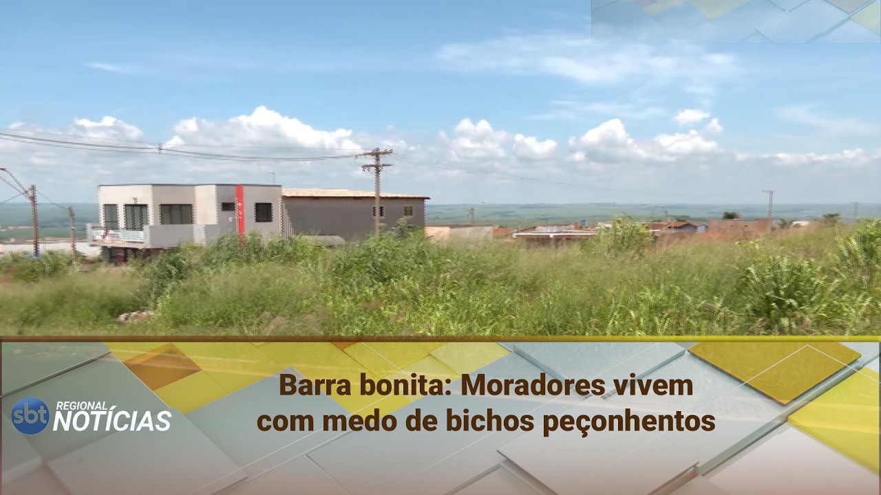 Barra bonita: Moradores vivem com medo de bichos peçonhentos (25/02/2026)