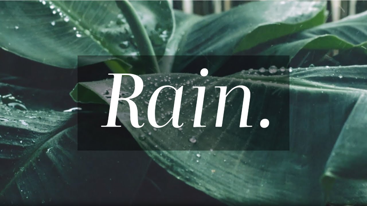 Relaxing Wind Down Story & Rain Sounds for Sleep | ASMR for Deep Relaxation & Stress Relief