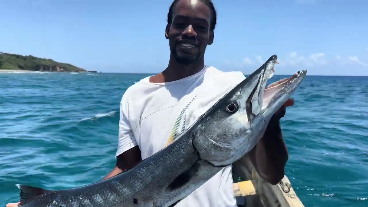 2 Monster Barracuda Caught on 12lb fishing Line