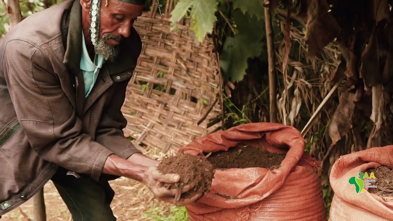 Regenerative Agriculture for Improved Soil Health and Agricultural Productivity - Ethiopia