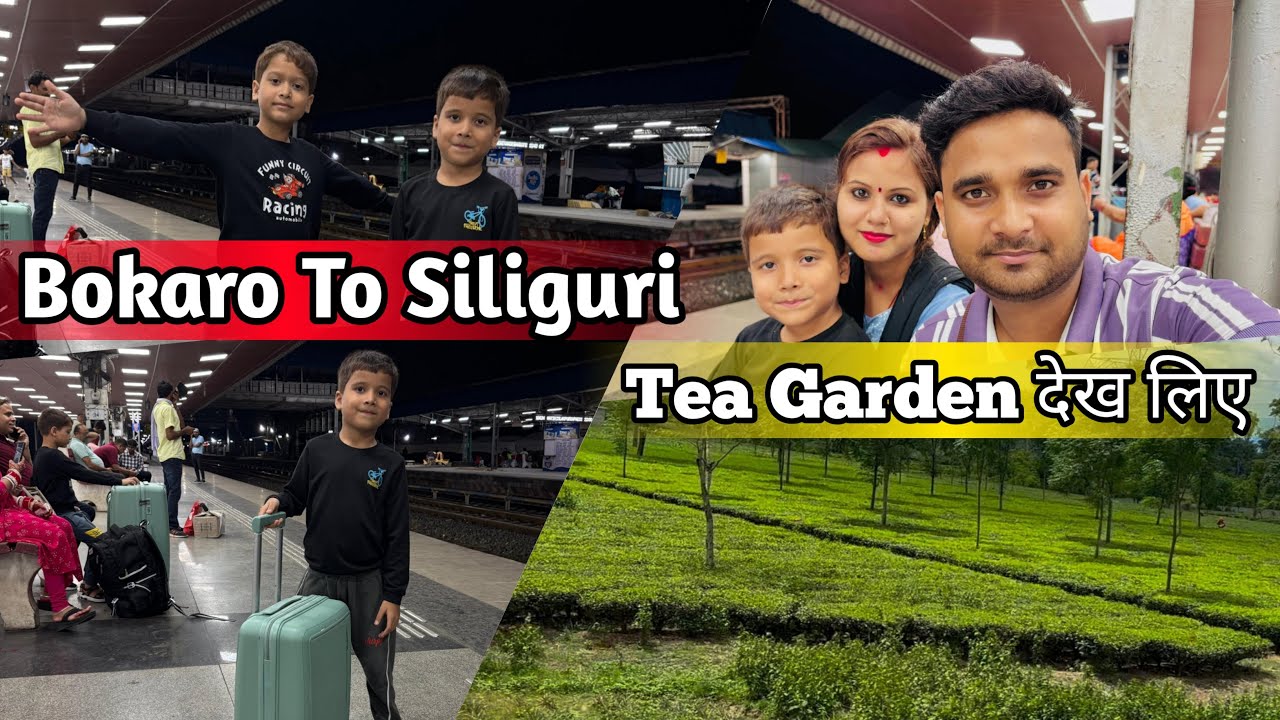 BOKARO TO SILIGURI | Trip Start Gangtok To Darjeeling #gangtok #darjeeling #travel #vlog