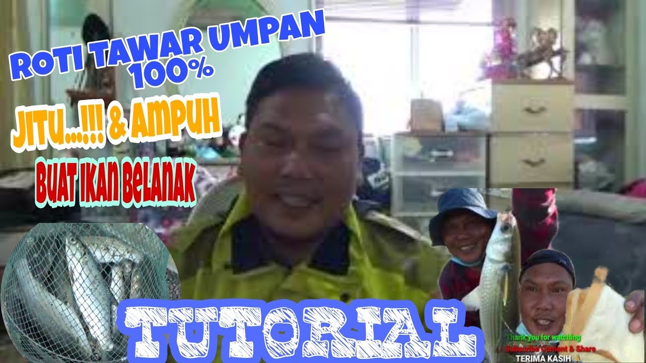Tutorial Umpan Roti Tawar Paling jitu 100% Ampuh buat ikan Belanak