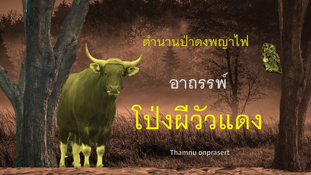 โป่งผีวัวแดง ตำนานป่าดงพญาไฟ
