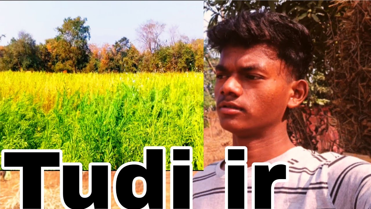 Tudi ir santali vlog 