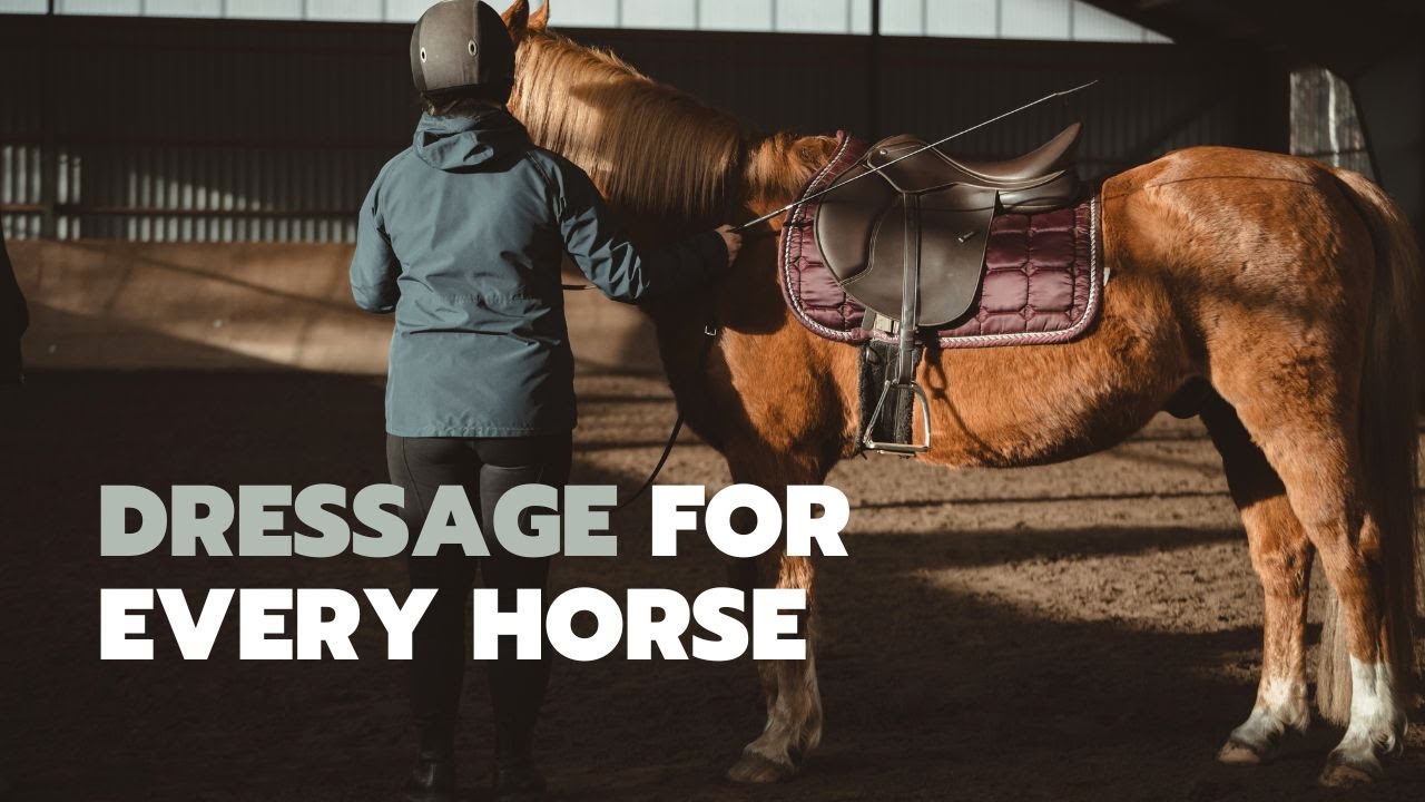 Welcome To Classical Horsemanship! Official Channel Trailer