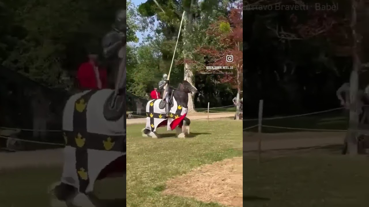 Joute &eacute;questre