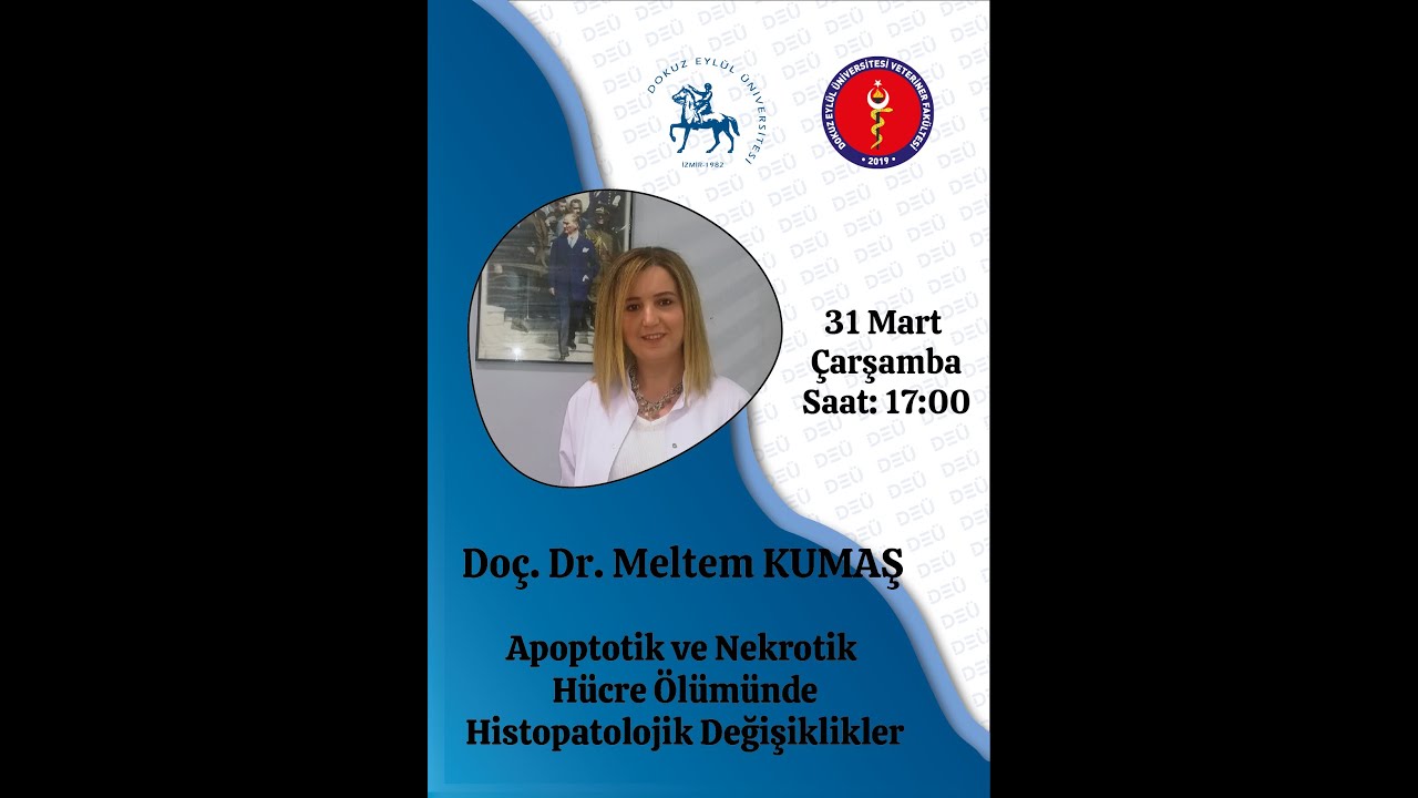 Apoptotik ve Nekrotik Hücre Ölümünde Histopatolojik Değişiklikler