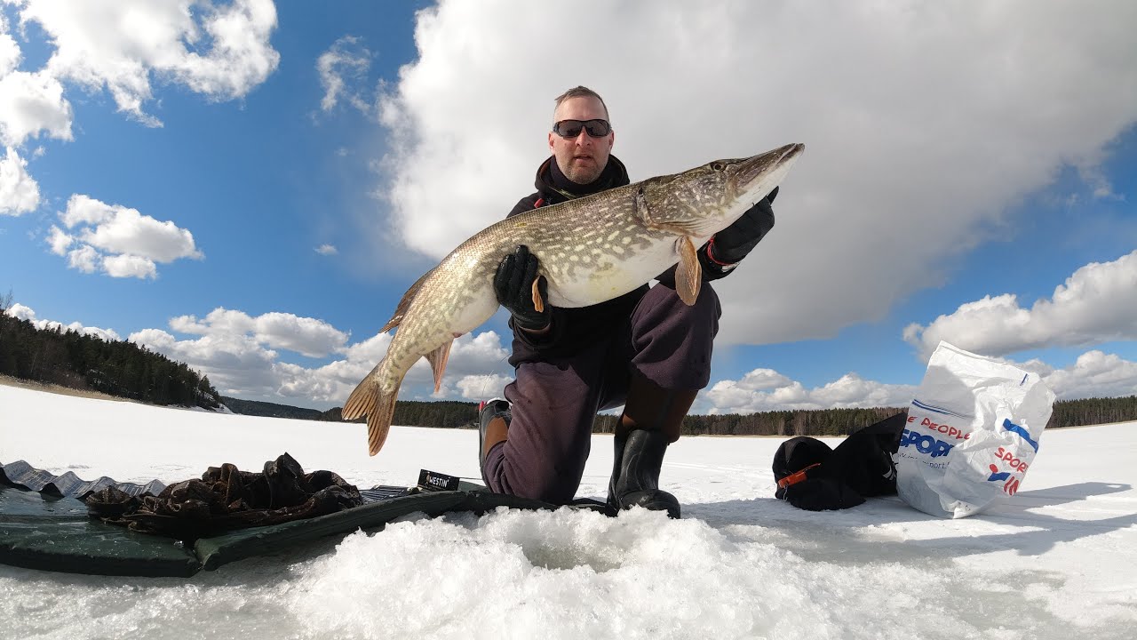 Ismete hauen kalastus (csalihalas lékhorgászat) HUNsub