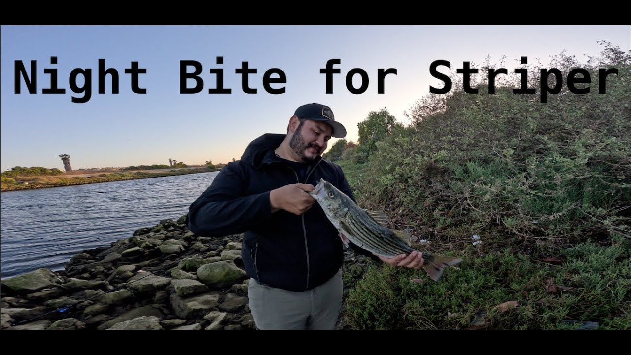 Night Fishing For Striper