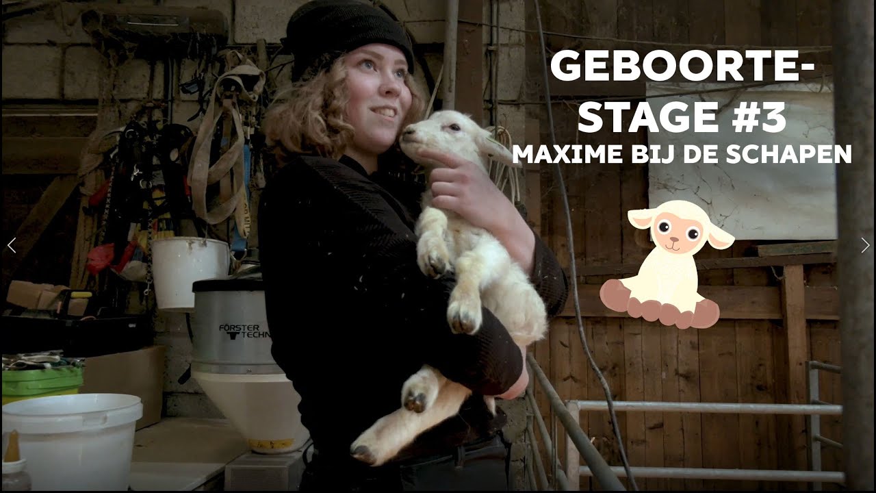 De geboortestage van Maxime bij Landschapsbeheer het 't Mögkebrook Roermond