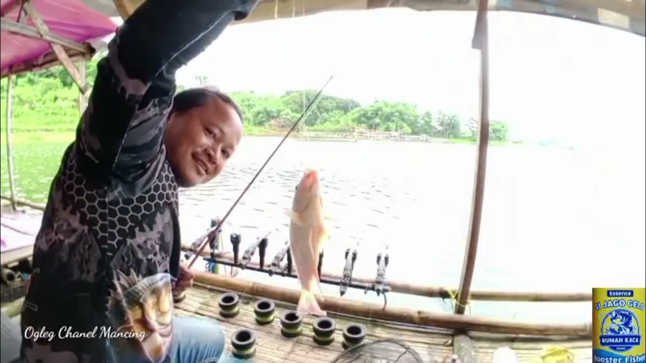 Sempat Viral kini terbengkalai padahal Ada ikannya 😯😯‼️