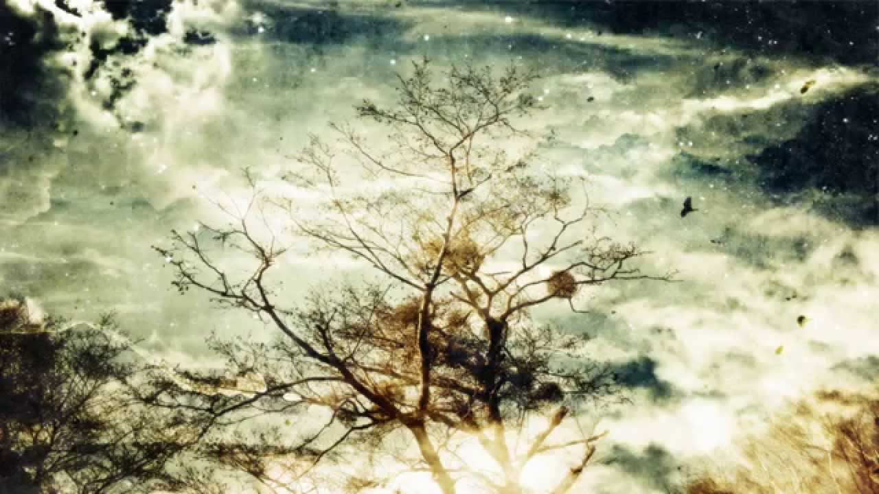 Sonne Hagal - Black Spring