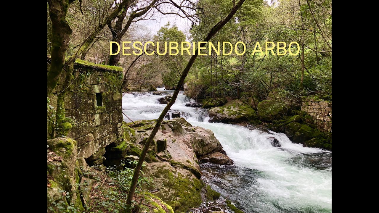 Descubriendo Arbo (Pontevedra)