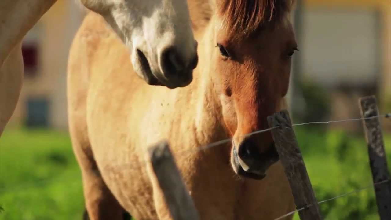 Nacieron Pueblos - Capitulo 2: Chacabuco