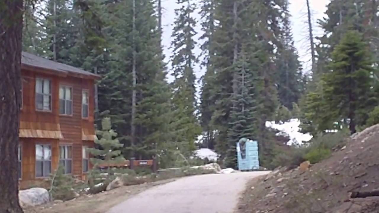 Wuksachi Lodge in Sequoia National Park