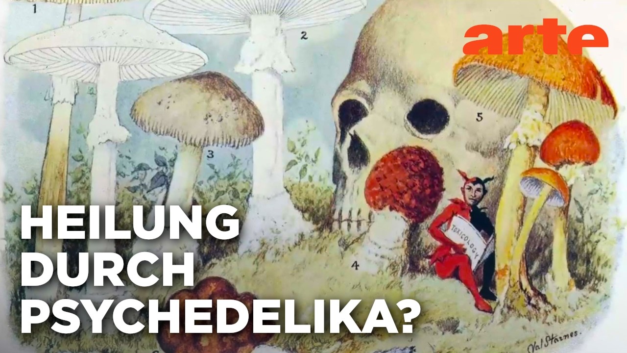 Psychedelia - Die Erforschung der mystischen Erfahrung |&nbsp;Doku HD | ARTE