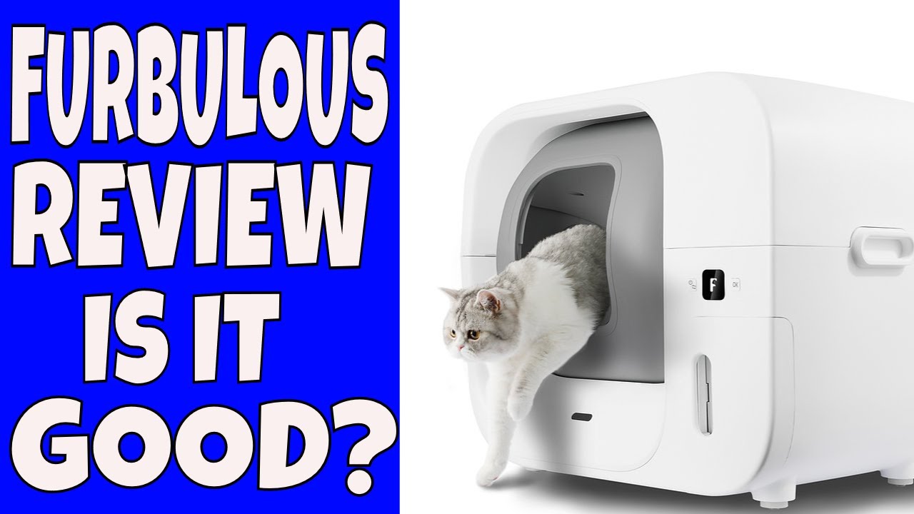 REVIEW - Furbulous Pet Automatic Cat Litter Box Robot - Is it any good?