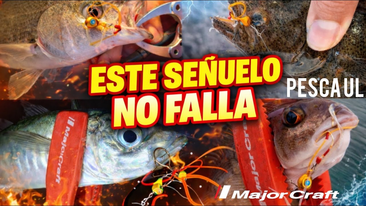 PESCA UL ESTE SE&Ntilde;UELO NO FALLA , OCUPE UN SOLO SE&Ntilde;UELO Y SAQUE DE TODO MAJORCRAFT NANO RUBBER JIGS