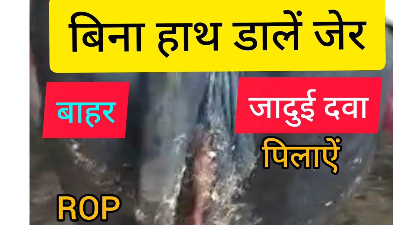 ROP।बिना हाथ डालें जेर कैसे निकालें।Dr.Umar khan