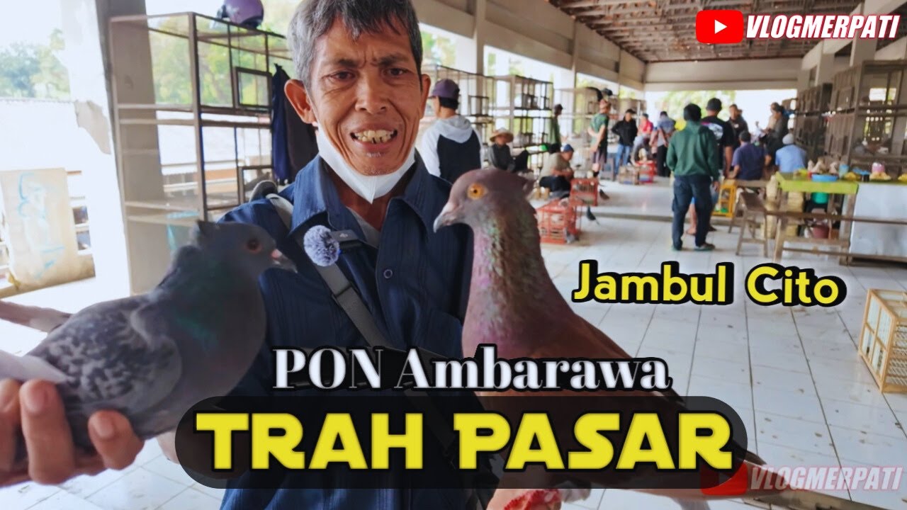 MERPATI PASAR PON AMBARAWA | PART 2