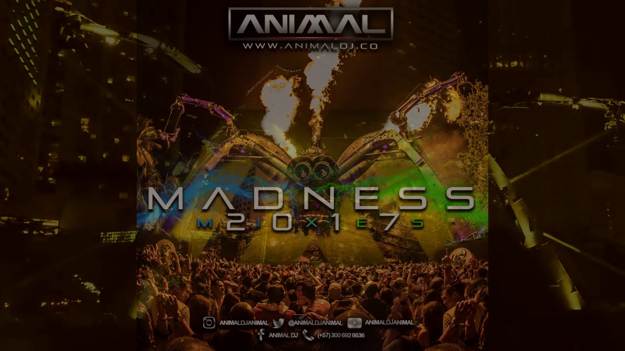 Madness 24 - Animal Dj (www.animaldj.co)