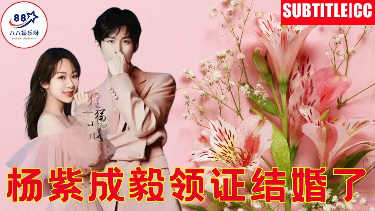 Yang Zi and Cheng Yi got married