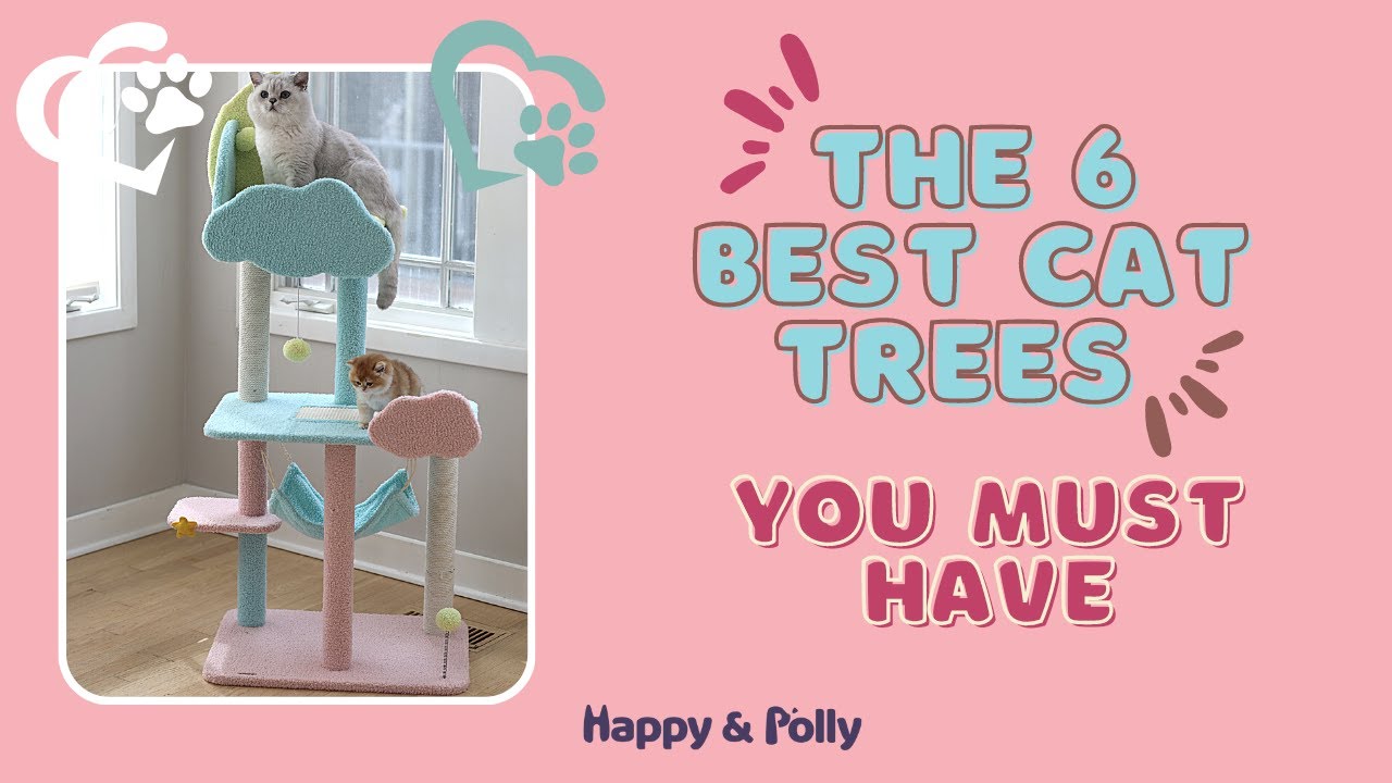 The Best 6 Cat Trees You Must Have in 2023 |Happy&Polly