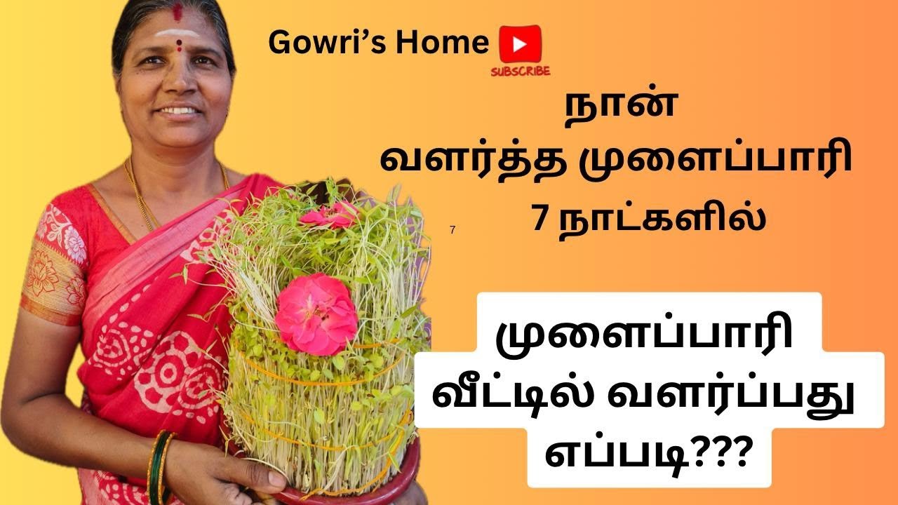 முளைப்பாரி வளர்ப்பது எப்படி? | நான் வளர்த்த முளைப்பாரி‌ | Step by Step Process | Gowri's Home