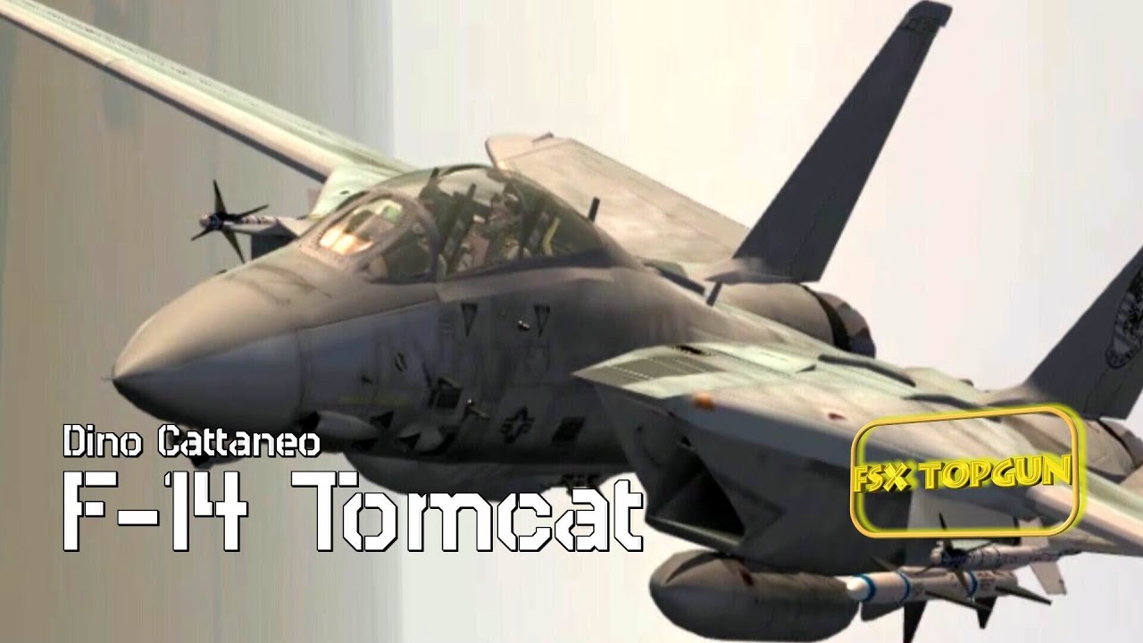 FSX F-14 Tomcat (Grumman) - US Navy Interceptor, air superiority and multirole combat aircraft (US)