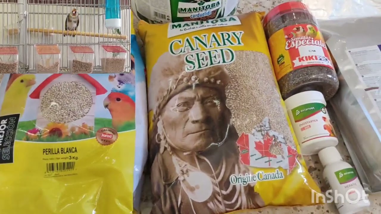 Intro new y unboxing para los jilgueros