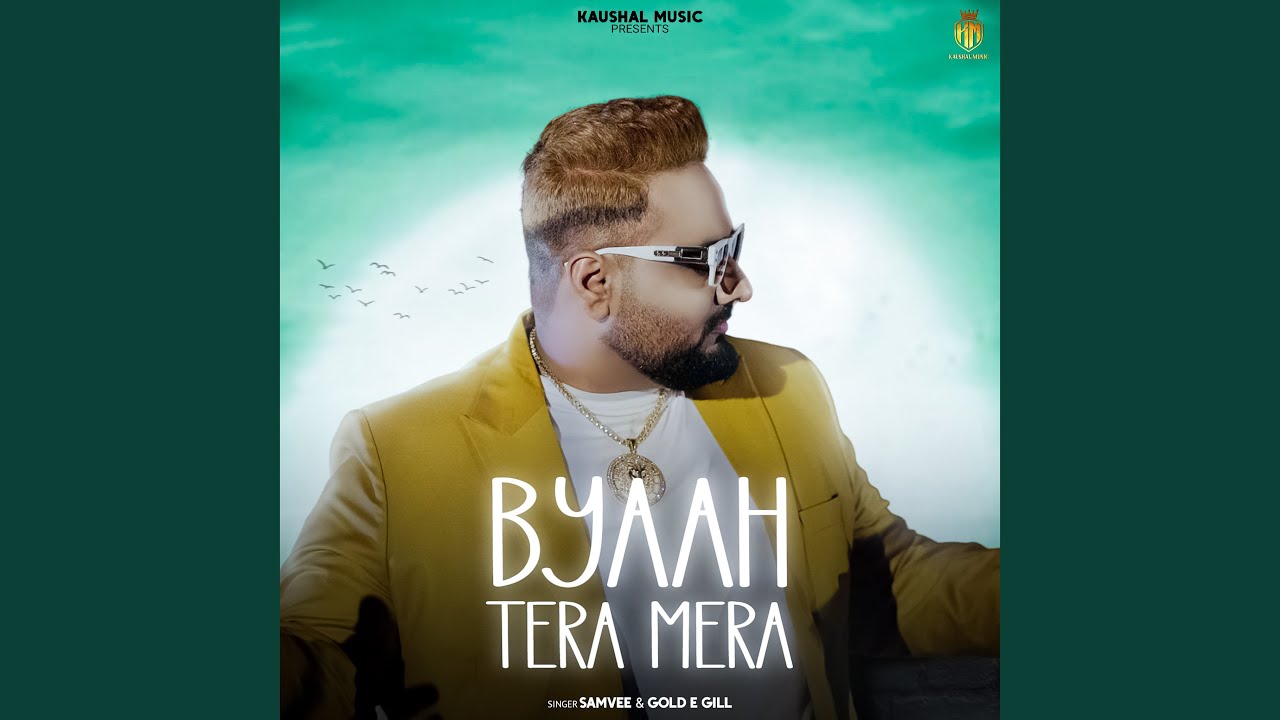Byaah Tera Mera