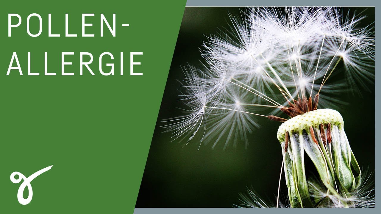 Heuschnupfen: Die richtige Ernährung hilft bei Kreuzallergien | Gerne Gesund mit DR. AMBROSIUS