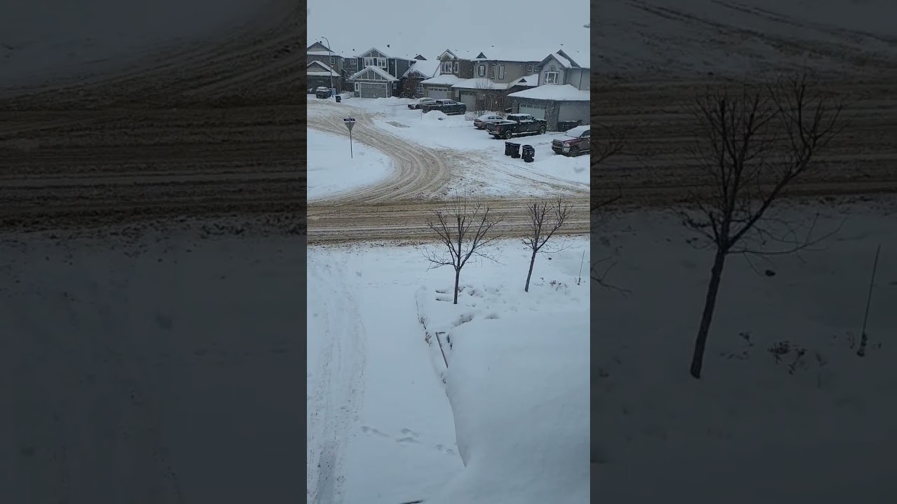 Un d&iacute;a muy fr&iacute;o #canada #nevando #nieve #albertacanada #latina #dominicana