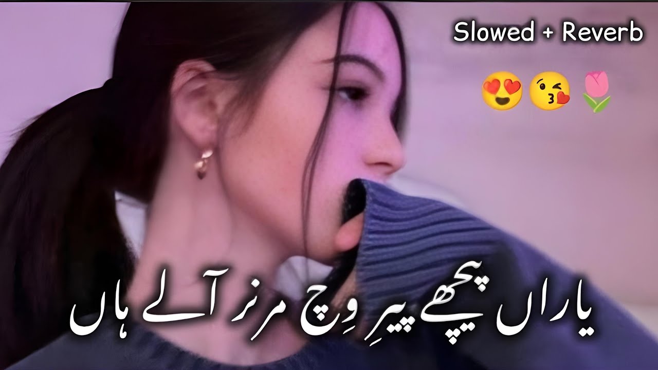 Yaaran Piche Pirh Vich Maran Aale Aan (Slowed + Reverb)سرائیکی سونگ  یاراں پیچھے پیر وِچ مرن آلے ہاں