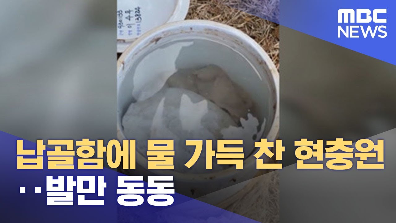 납골함에 물 가득 찬 현충원‥발만 동동 (2021.12.21/뉴스투데이/MBC)