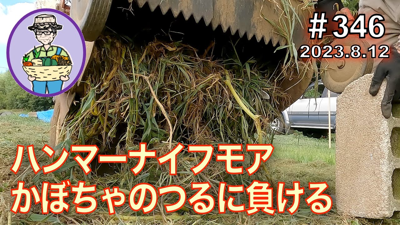 宿儺かぼちゃの後片付け、ハンマーナイフモアでつると雑草を粉砕するが、つるが絡みついてモアが停止する。 346話 【オーガニック栽培】