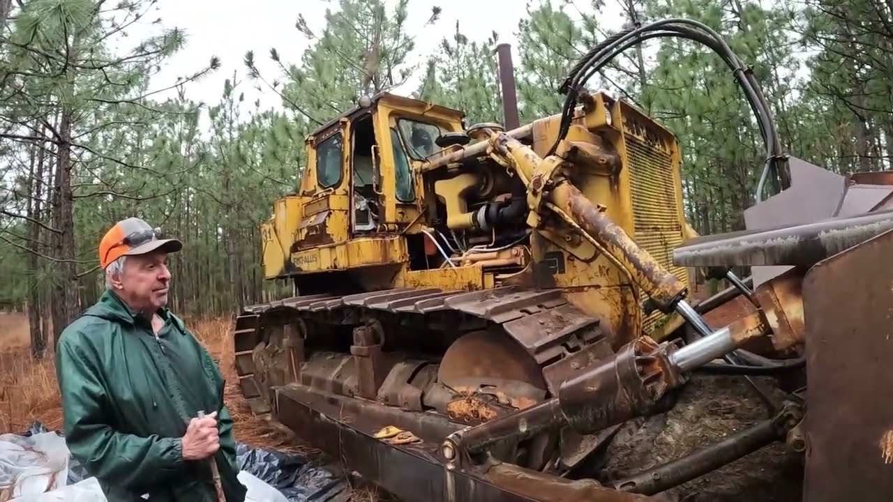Monsters In The Woods... Old But Not Dead