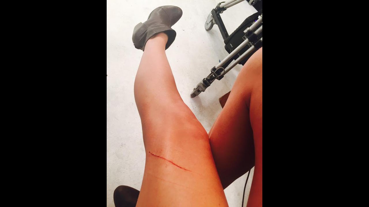 Taylor Swift's Cat Is A Huge Jerk